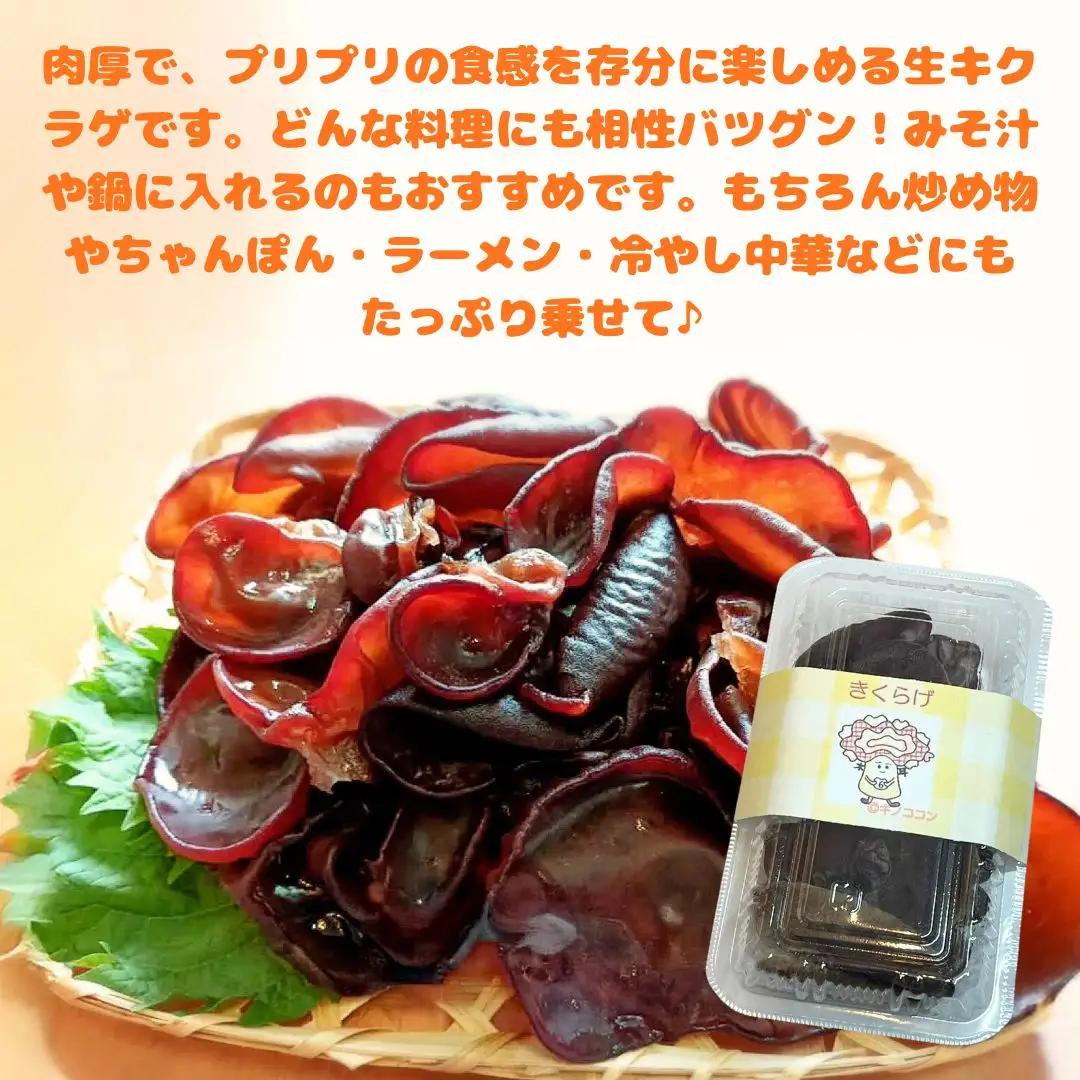 木耳 肉厚生きくらげ　70g×5パック（350g）| 津久見市