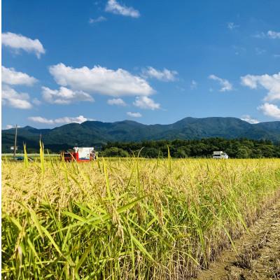 ふるさと納税 新庄市 【発送月固定定期便】魅惑のはえぬき(精米)10kg(5kg×2袋)全3回 |  | 02