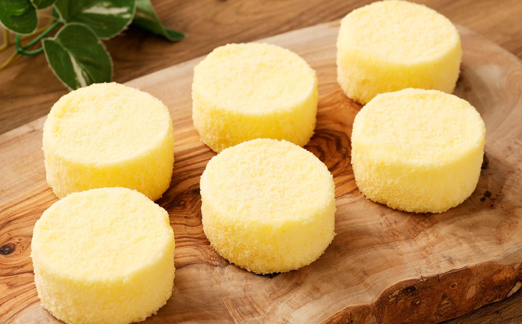 
            【5回定期便】 北海道ミニフロマージュ （プレーン） 約900g×5回 合計約4.5kg ミニフロマージュ フロマージュ チーズケーキ ケーキ スイーツ 洋菓子 冷凍 北海道 小樽市
          