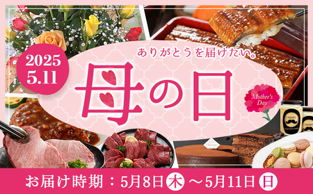 【母の日】もちもちやわらかい牛乳屋さんのベーグル17個≪5月8日～11日お届け≫_MJ-3306-MG_(都城市) シンプルな定番ミルクベーグル 全粒粉ベーグル 塩ベーグル プレーン ブランベーグル 