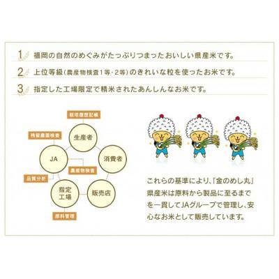 ふるさと納税 福岡市 【夢つくし・元気つくし】福岡2大ブランド米　食べ比べセット　10kg JU03 |  | 01