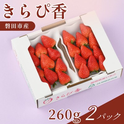 【2027年先行受付】静岡県磐田市 いちご きらぴ香 約260g×2パック【配送不可地域：離島・北海道・沖縄県】