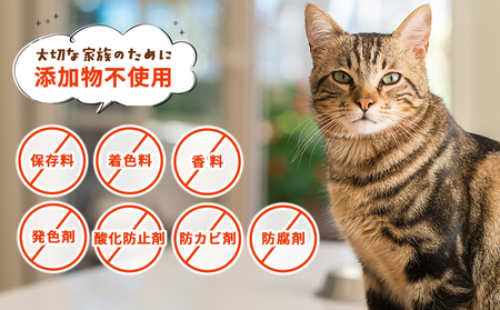 ＜CalNyan（カルニャン）4個セット＞ 国産 詰合わせ 1袋約60g 猫 ペット おやつセット 愛媛県産 SDGs ヒューマングレード トリーツ 養殖真鯛 フードロス (株)SakuSaku 愛媛