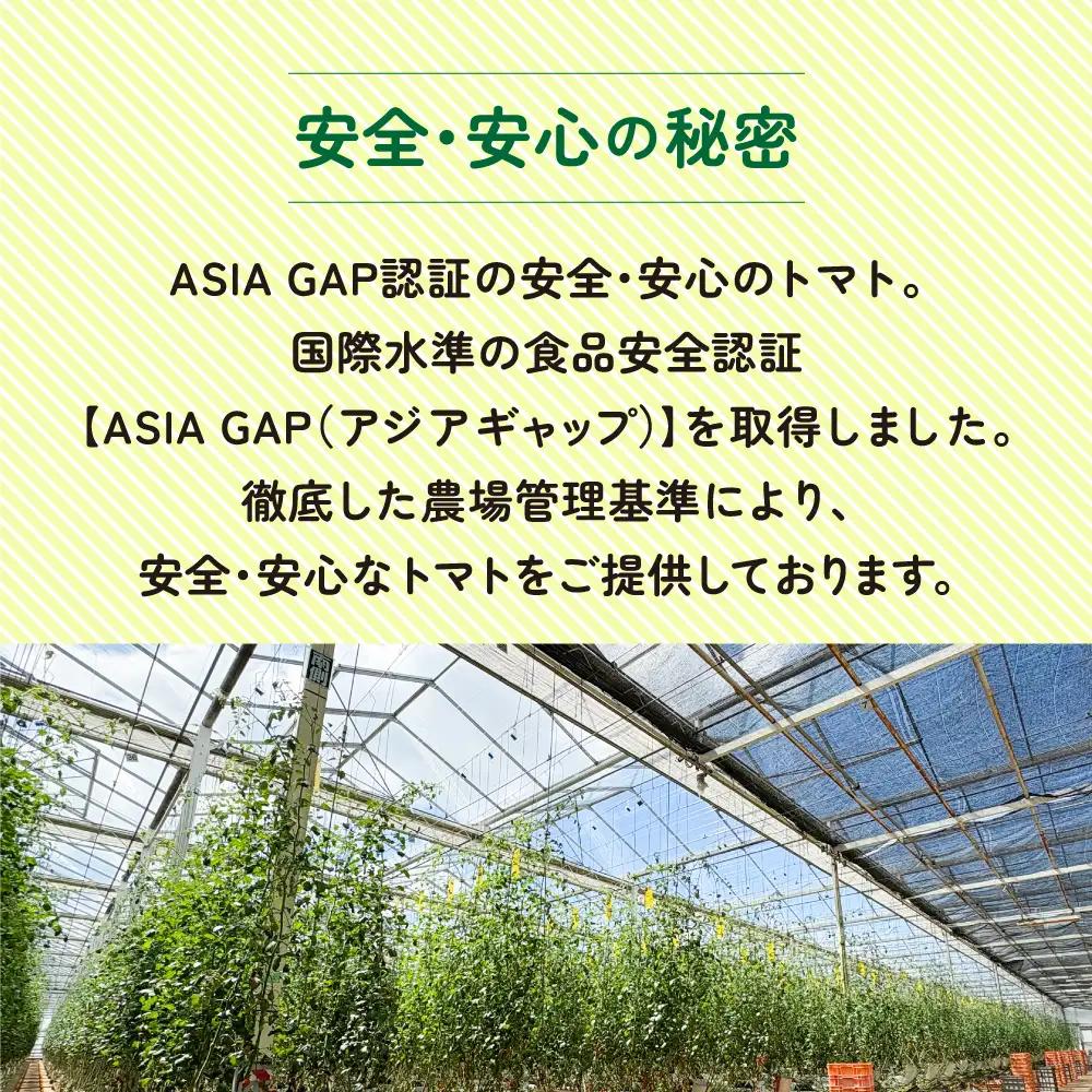 【1月～8月】訳あり 中玉 トマト 約3.5kg×2箱 | 訳あり トマト 中玉トマト 3.5kg 2箱 産地直送 野菜 国産 福島県 いわき産 とまと 数量限定 規格外 不揃い フレッシュ ジューシ