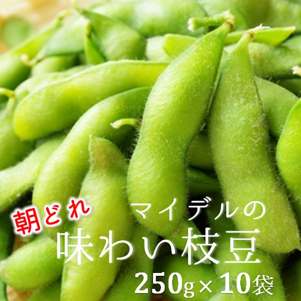 
            道の駅マイデルの味わい枝豆（250g×10袋）※8月～9月配送
          