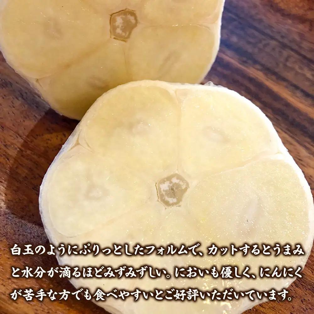 先行受付【テレビ紹介】青森 幻の生にんにく7玉（農家直送・収穫期だけの限定品） 青森にんにくファーム