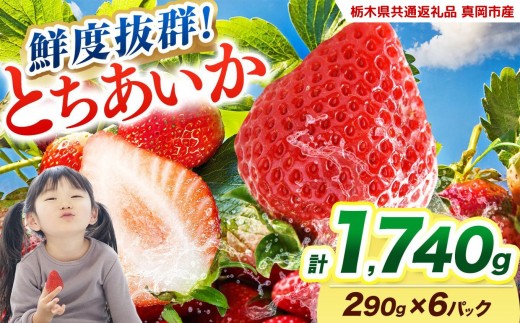 【2027年先行予約】鮮度抜群 いちご とちあいか 290g×6P【栃木県共通返礼品 真岡市産】 栃木県矢板市
