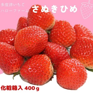 多度津いちごハローファーム　さぬきひめ　400g【令和7年1月より発送：予約受付分】【A-106】