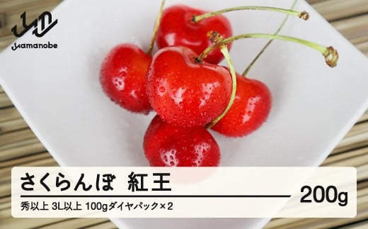 
            【先行予約】 さくらんぼ 紅王 3L以上 秀以上 100gダイヤパック×2 2026年産 令和8年産 山形県産 送料無料 mm-yb3ld200 ※沖縄・離島への配送不可
          