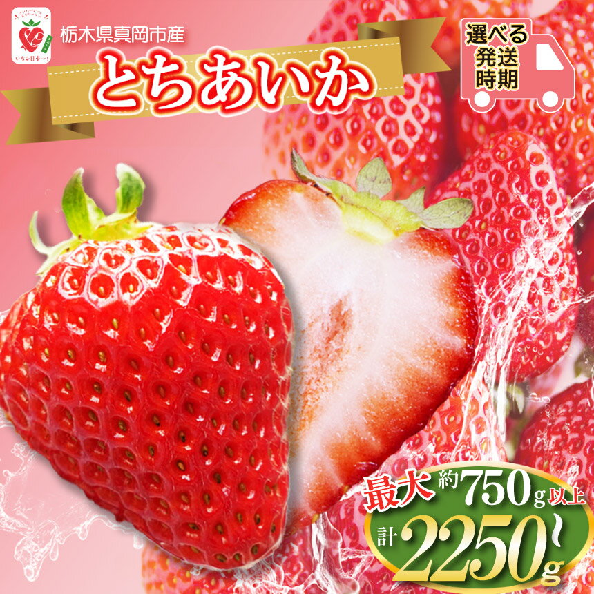 【ふるさと納税】 【2026年先行予約】鮮度抜群！朝採れ 旬 の とちあいか 750g 1500g 2200g | 日本一 産地 冬 味覚 イチゴ ストロベリー 大きい ハート 愛 美味しい 果汁 甘い あまい 甘味 たっぷり 大容量 | 人気 レビュー リピート 栃木県 真岡市 送料無料