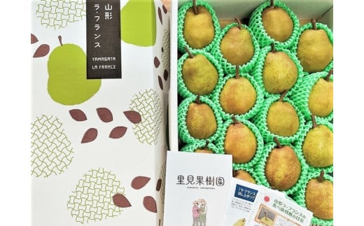 西洋梨（ラ・フランス）５ｋｇ　１８～２０玉　特秀品　0079-2518