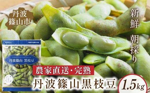丹波黒枝豆 さや  丹波篠山産 完熟枝豆 1.5kg 500g×3袋 農家直送 小分け 数量 選べる【季節限定 おつまみ 枝豆 えだまめ 黒豆 ご当地グルメ 特産品】