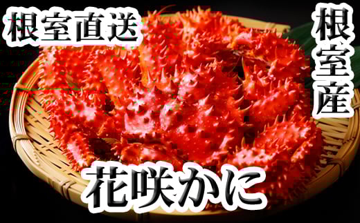 C-36005 【北海道根室産】花咲かに300g～450g前後×6尾