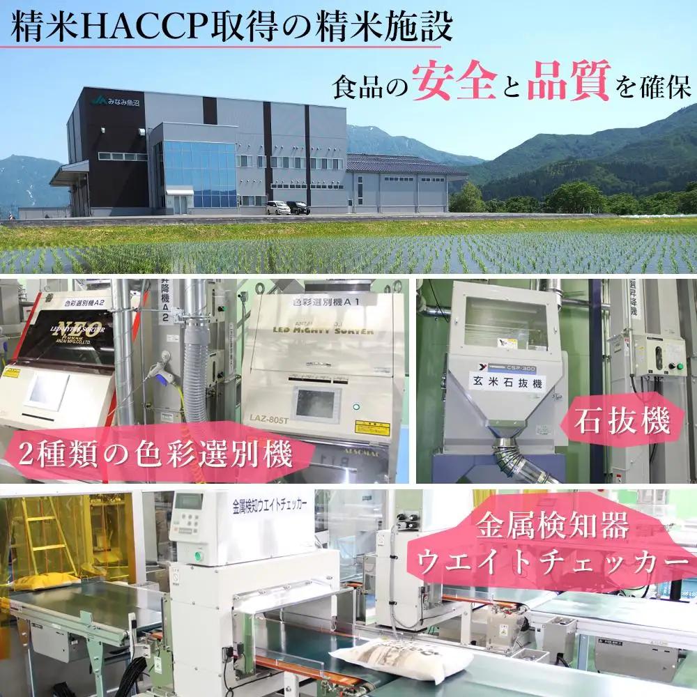 【JAみなみ魚沼定期便】南魚沼産こしひかり（窒素充填2合パック30袋入×全9回）｜こしひかり