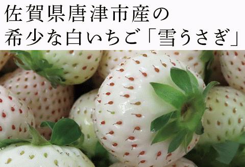 『先行予約』【令和8年2月中旬発送】唐津産 白いちご「雪うさぎ 」苺 イチゴ 希少 果物 フルーツ 脇山農園