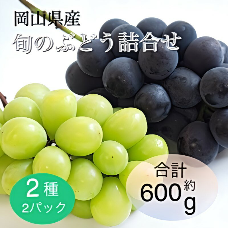 【ふるさと納税】ぶどう 2025年 先行予約 旬のぶどう詰合せ 2種2パックセット(ニューピオーネ 約300g×1P、シャインマスカット晴王 約300g×1P)　お届け：2025年9月上旬～2025年10月下旬