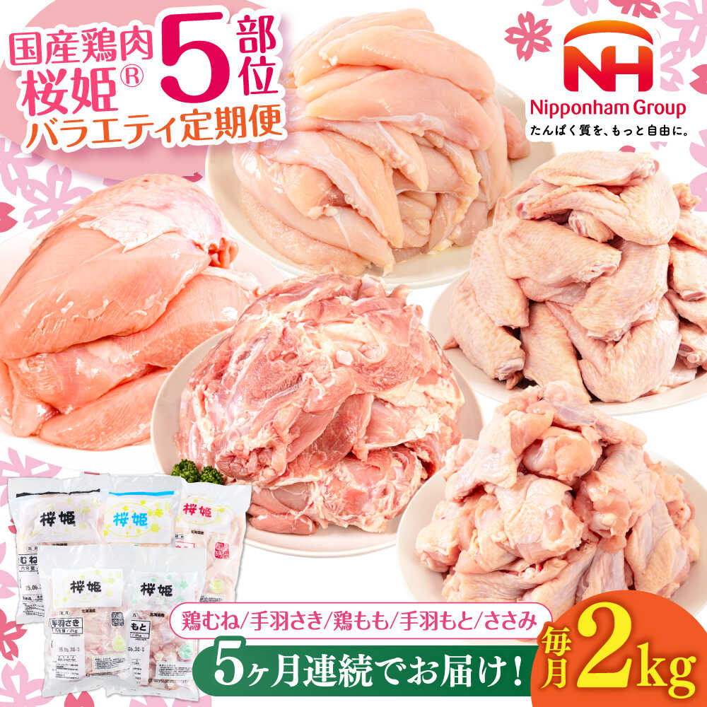 【ふるさと納税】【全5回定期便】桜姫 バラエティ定期便 【東日本フード株式会社】[AXBM129] 鶏肉 月替り 定期便 鶏むね 鶏もも 手羽 ささみ 北海道 大容量