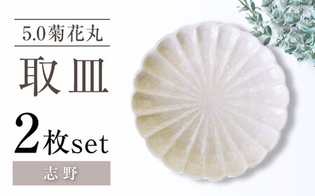 【瀬戸焼】5.0菊花丸取皿 志野 2枚セット 【ヤマハツクリタ株式会社】 / 食器 和食器 丸皿 / 瀬戸市[BBDV024]