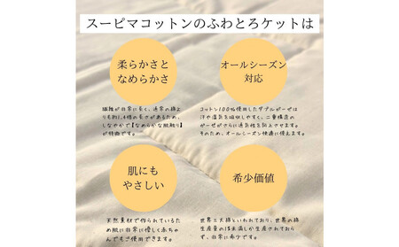 最高級純コットン スーピマコットンのふわとろケット　0.5kg