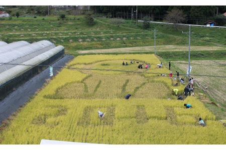 【令和5年産】浜田市金城町産の美味しいコシヒカリ100％【おぐに米】10kg ≪9月下旬以降の発送予定≫ 10キロ 米 おこめ コシヒカリ 白米 精米 特産品 ごはん お取り寄せ 小分け 【170】