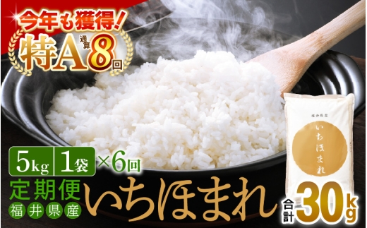 特A通算8回！お米 令和7年産 定期便 6回 いちほまれ 5kg × 6回（計30kg）福井県産【米 コメ kome 6ヶ月連続 計30キロ 精米 白米】 [e27-g011]