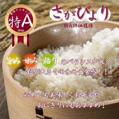 ふるさと納税 伊万里市 令和7年産さがびより2kg 夢しずく2kg(無洗米) 食べ比べ(真空パック) |  | 01
