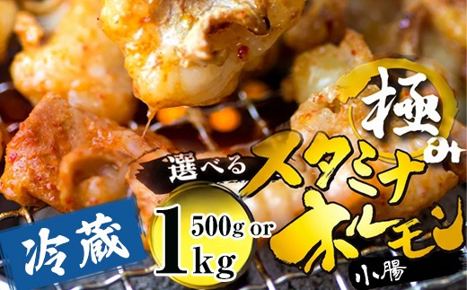 
                  【タレ揉み】極みのスタミナホルモン 小腸 500g/1kg 小分け タレ付き 牛肉 牛ホルモン モツ しょうちょう 焼き肉 BBQ 味付け肉 キャンプ アウトドア 京都 舞鶴
                