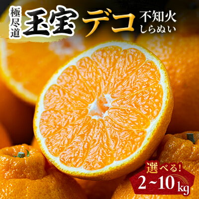 【ふるさと納税】【愛媛名産】玉宝デコ(不知火) 2kg / 3kg / 5kg / 10kg_ みかん デコ 不知火 しらぬい 玉宝 愛媛のみかん 柑橘 果物 くだもの フルーツ デザート 美味しい 甘い 愛媛 ご当地 愛媛県 八幡浜市 人気 送料無料 【G1511375】