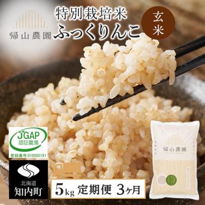 ふるさと納税 知内町 【3カ月定期便】特別栽培米産地直送「玄米ふっくりんこ 5kg」《帰山農園》