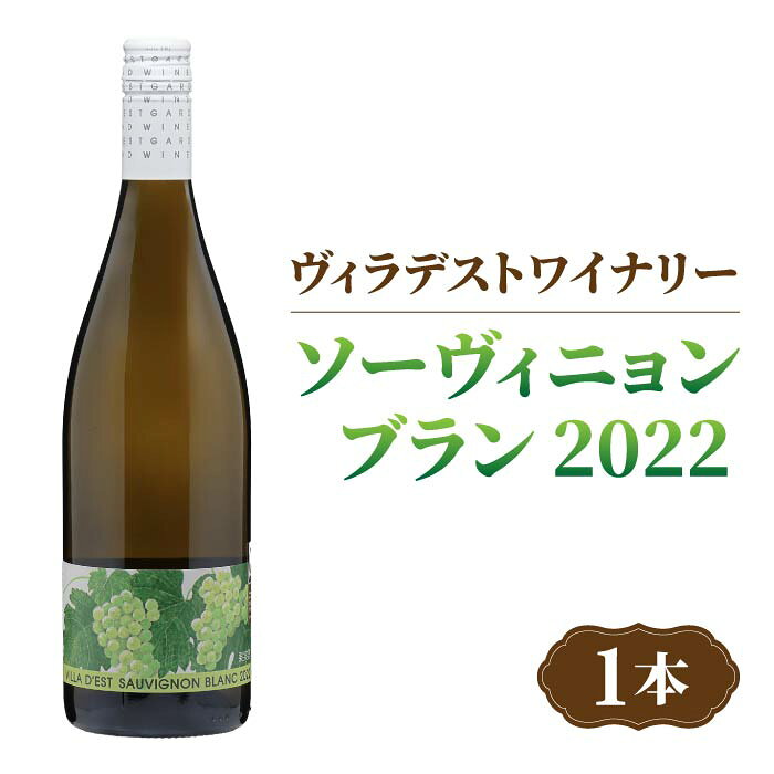 【ふるさと納税】日本ワインコンクール金賞受賞！長野ワイン ソーヴィニョンブラン（白ワイン）｜【ヴィラデストワイナリー】長野 東御 日本ワイン ワイン GI長野