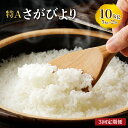 【ふるさと納税】＜定期便・全3回＞ 令和6年産 特A評価 『 無洗米 さがびより 10kg 』／米 お米 返礼品 飯 ごはん 弁当 銘柄米 白米 県産米 佐賀県産 国産米 精米 ブランド米 おにぎり 国産 食品 人気 おすすめ ふるさと納税米 新米 精白米 主食 ご飯 kg 無洗米