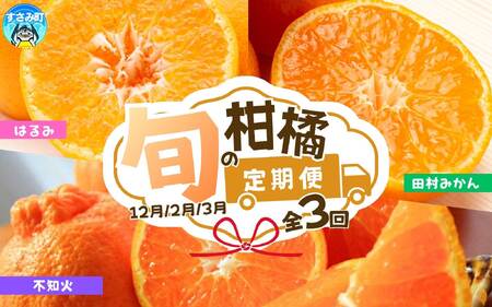 定期便【全3回/12・2・3月】紀州和歌山産旬のフルーツ定期便 (田村みかん・はるみ・不知火)【tkb376】