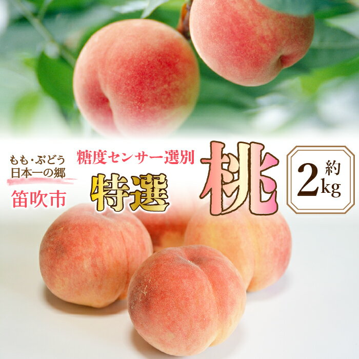 【ふるさと納税】 ＜25年発送先行予約＞ 糖度センサー選別【特選】桃7-8個　約2.0kg★ ふるさと納税 もも 桃 笛吹市 国産 人気 期間限定 果物 フルーツ デザート おやつ 甘い 糖度 旬 山梨県 送料無料 016-011