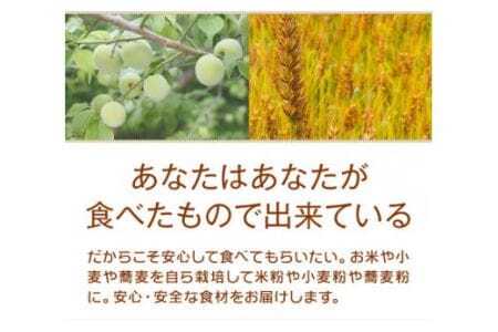美馬市産 薄力粉 1.3kg お菓子