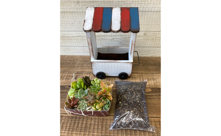 多肉植物 じぶんで植える 多肉 寄せ植えキットＣ 木製 ワゴン型 プランター 全2色 インテリア 植物 寄せ植え ガーデニング 福岡 小郡市 茶色