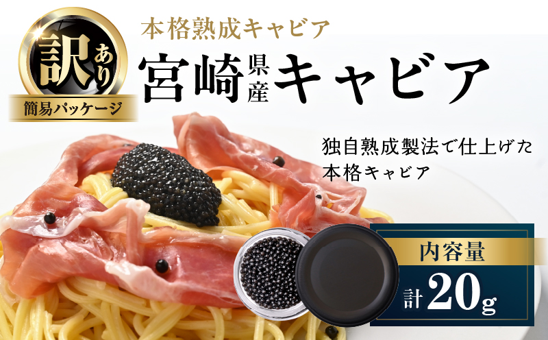 数量限定 訳あり 本格熟成キャビア 宮崎県産キャビア 20g 魚卵 魚介 魚貝 国産 食品 加工品 チョウザメ おつまみ 世界三大珍味 黒いダイヤ 水産物 贅沢 高級食材 上質 ご褒美 お祝い 記念日