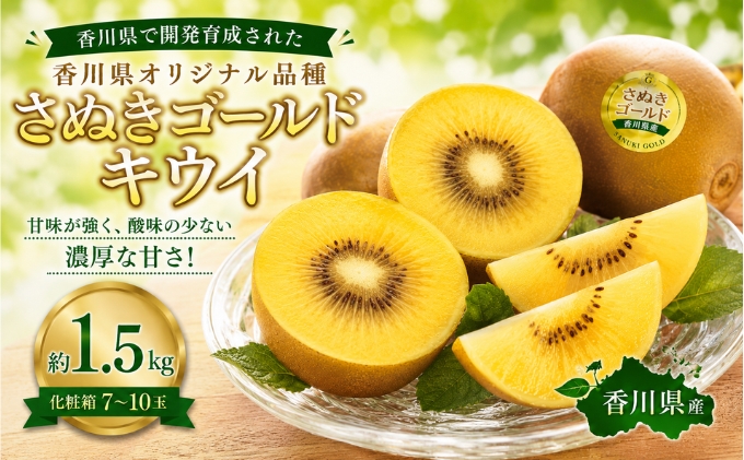 キウイ さぬきゴールド 約1.5kg 7～10玉 化粧箱 国産 さぬきゴールドキウイ キウイフルーツ ゴールドキウイ 黄金色 果肉 大玉 毛がない 甘い 酸味が少ない 香川県育成 果物 フルーツ くだもの デザート ヨーグルト 朝食 贈り物 ギフト 香川県 土庄町