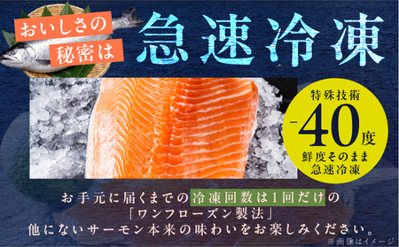 【年内発送】アトランティックサーモン 総量 1kg以上【フィレ エコパック 訳あり サイズ不揃い 刺身 さーもん 冷凍 北国からの贈り物】