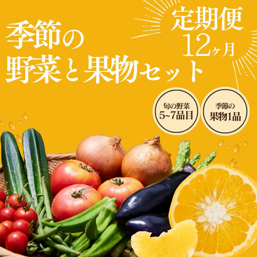 湯の花　季節の野菜と果物定期便12ヶ月 【12ヶ月 定期便 旬 野菜 果物 セット 柑橘 春野菜 夏野菜 秋野菜 冬野菜 人気 】