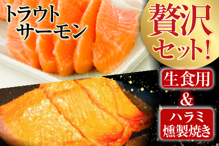 お刺身トラウトサーモン3kg＆とろサーモンハラミ燻製焼き3kg D-09027
