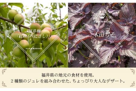 福井を味わう♪ 貴族プリン 6個セット[A-066002]