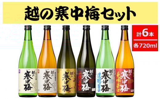 30P500〈新潟銘醸〉越の寒中梅720ｍｌ×6本セット　淡麗辛口　新潟清酒