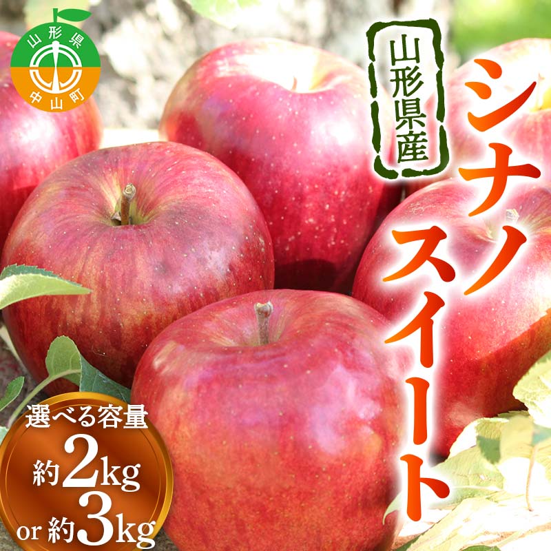 【ふるさと納税】＼選べる容量／《2026年発送先行予約》山形県産りんご シナノスイート 約2kg 5～8玉 or 約3kg 6～11玉 林檎 リンゴ 果物 くだもの フルーツ 山形県産 F4A-0916var
