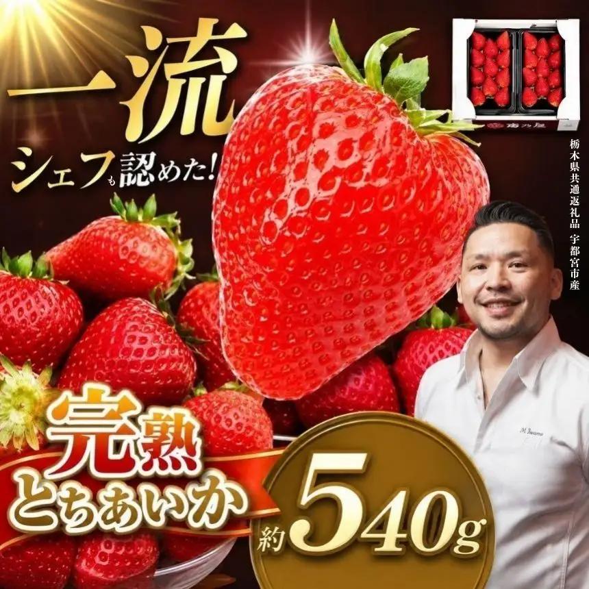 【栃木県共通返礼品】先行予約 完熟とちあいか Grande（グランデ）270g×2P 