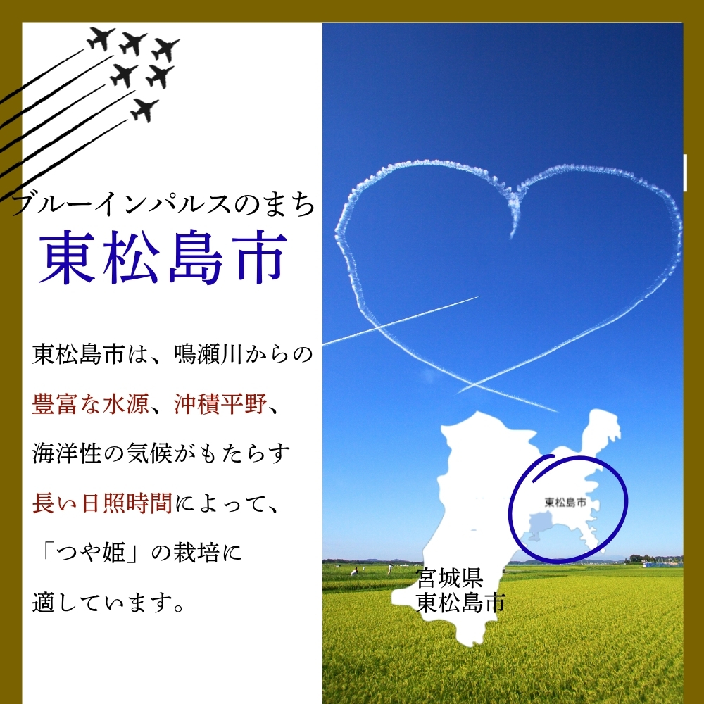 【先行予約】【令和8年産】【新米】【令和8年10月中旬～下旬順次発送】 つや姫 精米 5kg  宮城県産  G つや姫