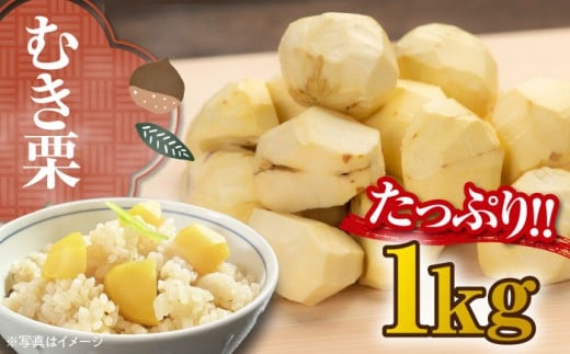 【9月下旬より順次発送】ムキ栗 1.0kg（真空パック） 愛媛県大洲市/沢井青果[AGBN034] 栗 クリ くり 栗ご飯 栗ごはん くだもの 果物 フルーツ ふるーつ 生栗 先行予約 おすすめ 人気 お取り寄せ 送料無料 贈答 ギフト