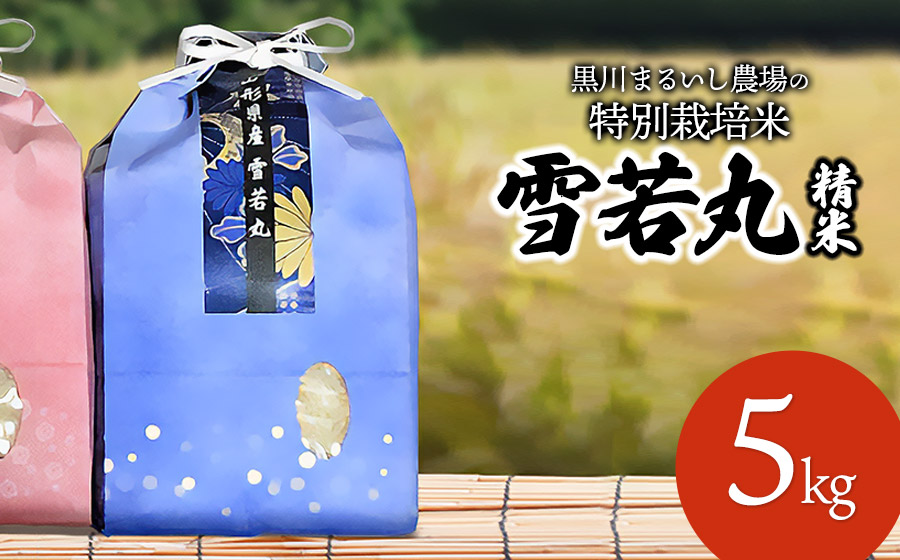 【令和7年産】 黒川まるいし農場の特別栽培米 雪若丸 5kg　山形県鶴岡市産　K-745