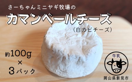 【11月～3月限定・牛乳使用】カマンベールチーズ 約100g×3パック