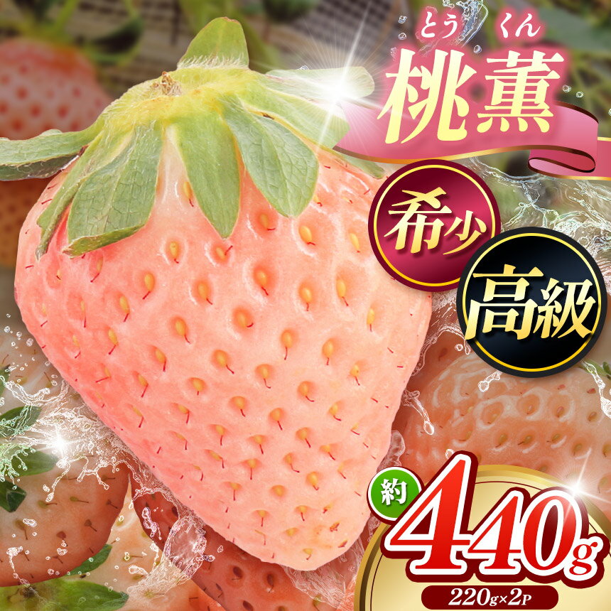 【ふるさと納税】希少 ！ 「 桃薫 （ とうくん ） 」 約 220g × 2パック （ 約440g ） いちご・イチゴ・苺【産地直送】 | いちご イチゴ 苺 産地直送 旬の味覚 贈答用 冬限定 果物 スイーツ 山口県 平生町