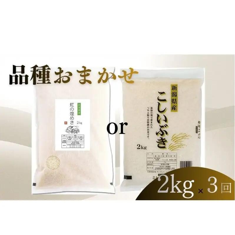 【6月下旬より配送】 新潟県産 品種おまかせ 2kg  3か月定期便 新潟県 新潟市産 令和7年産 お米 精米 米 ご飯 送料無料